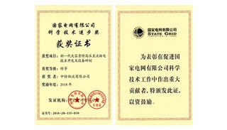 2018年度国家电网有限公司科学技术进步特等奖